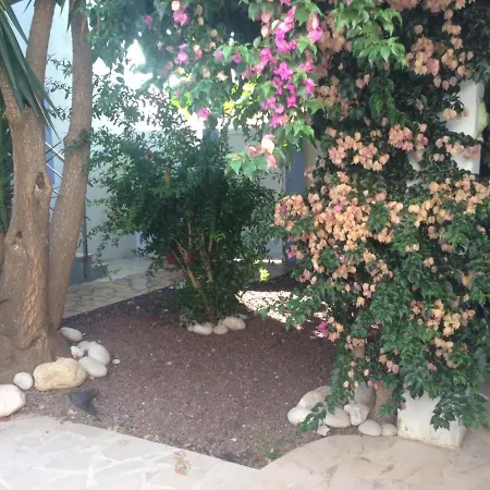 Saldonar Apartamento *